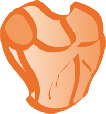 wp004f55a2.png